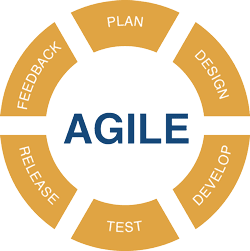 Agile Training