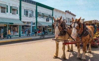 Do the Majority of People View Your Organization or Parts of Your Organization in Process Steps?