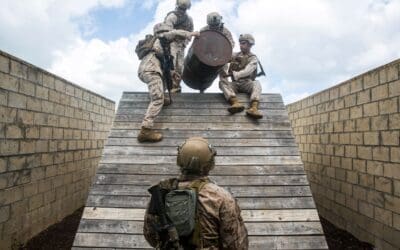 Leadership: Champions for Team Success