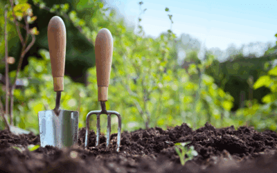 Are Your Leaders Creating an Environment for Team Members to Grow?